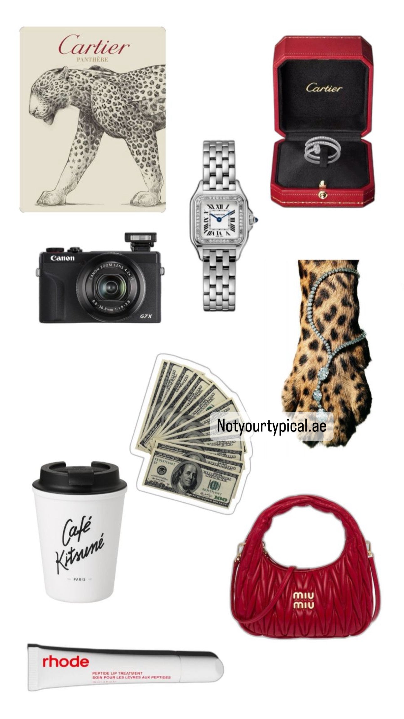 Lady’s in Cartier 3D stickers 🐆 – Not Your Typical